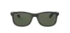 משקפי שמש רייבן RAY BAN 0RB4202 606971 55 