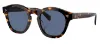 משקפי שמש אוליבר פיפלס OLIVER PEOPLES